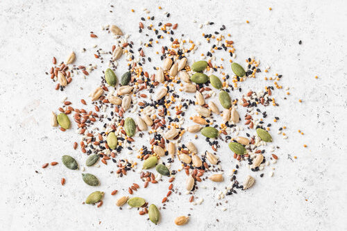 The Power of Seeds: Nature’s Nutritional Powerhouse